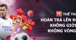 Hoàn trả thể thao mỗi ngày hấp dẫn 0,33%